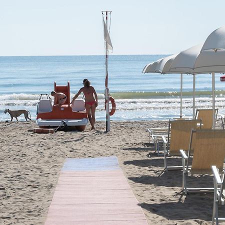 Hotel Baltic Alba Adriatica Εξωτερικό φωτογραφία