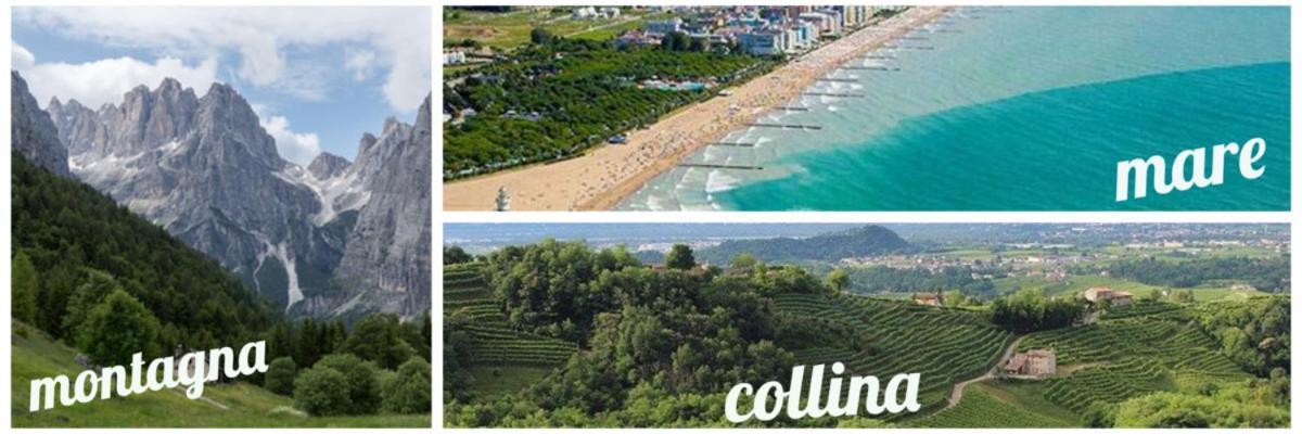 Hotel Baltic Alba Adriatica Εξωτερικό φωτογραφία